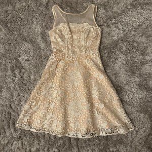 Eva Franco Lace and Silk Fit and Flare Dress